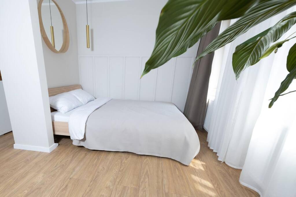 Design & Relax #Altstadt #Sauna Wittenberg Extérieur photo